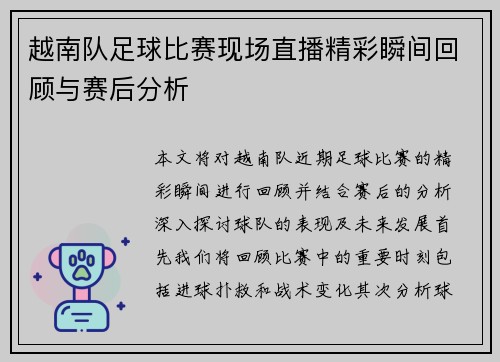 越南队足球比赛现场直播精彩瞬间回顾与赛后分析